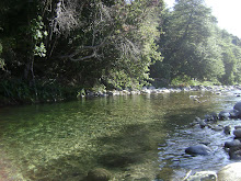 Rio Huequecura