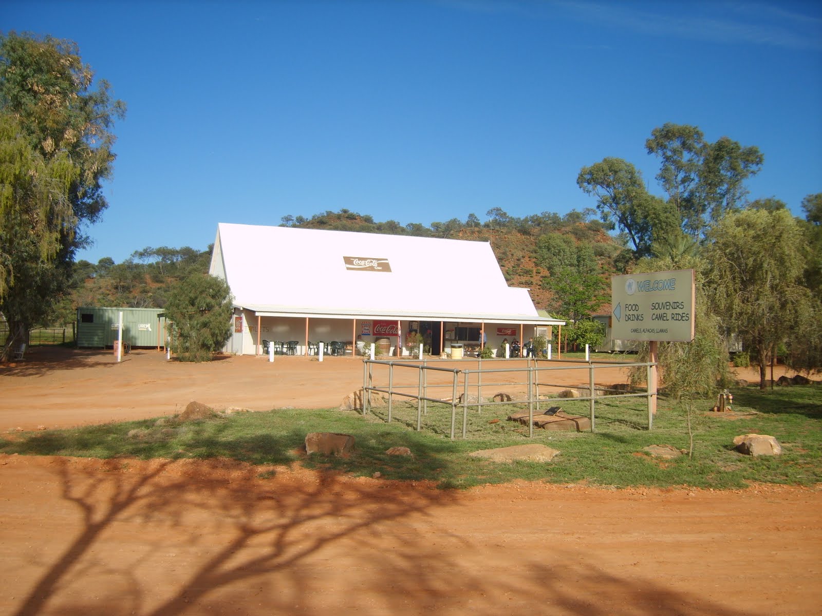 Exchange Year Australian Camels