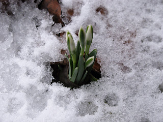 Untrodden Paths February 2010