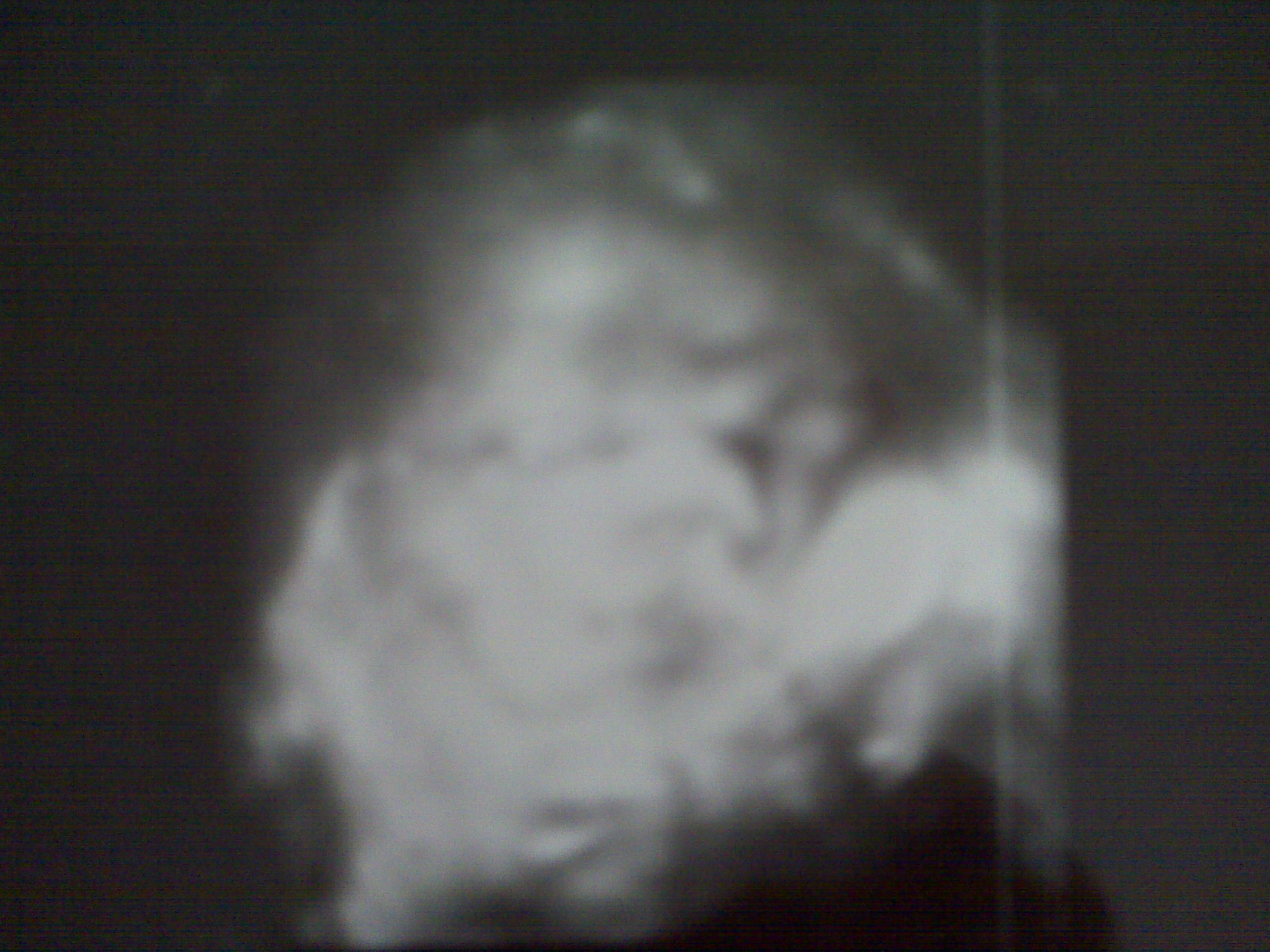 Lathan Alexander McGarry: 36 week Ultrasound