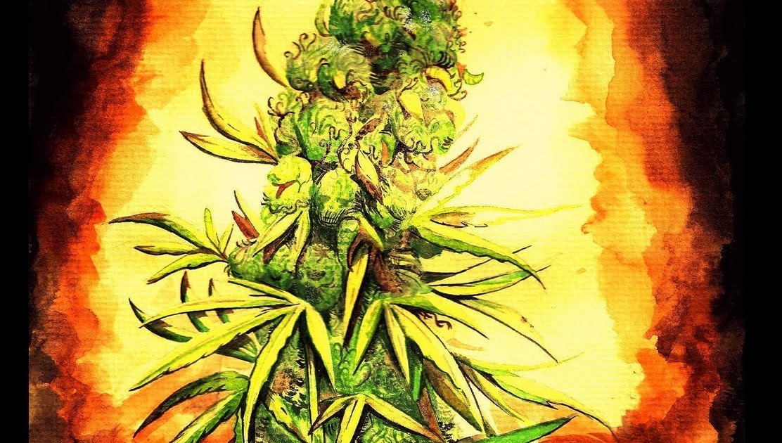 The Cannabis Years Documentary : BBC Time Shift - Psychedelic Adventure