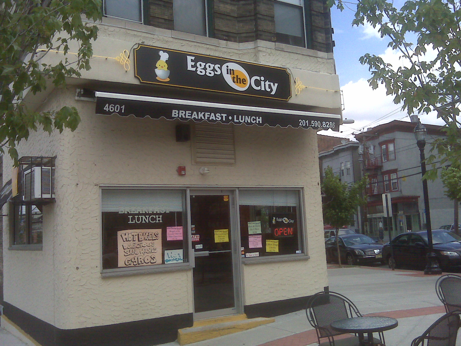 LOOKADOO IN NEW YORK Eggs in the City