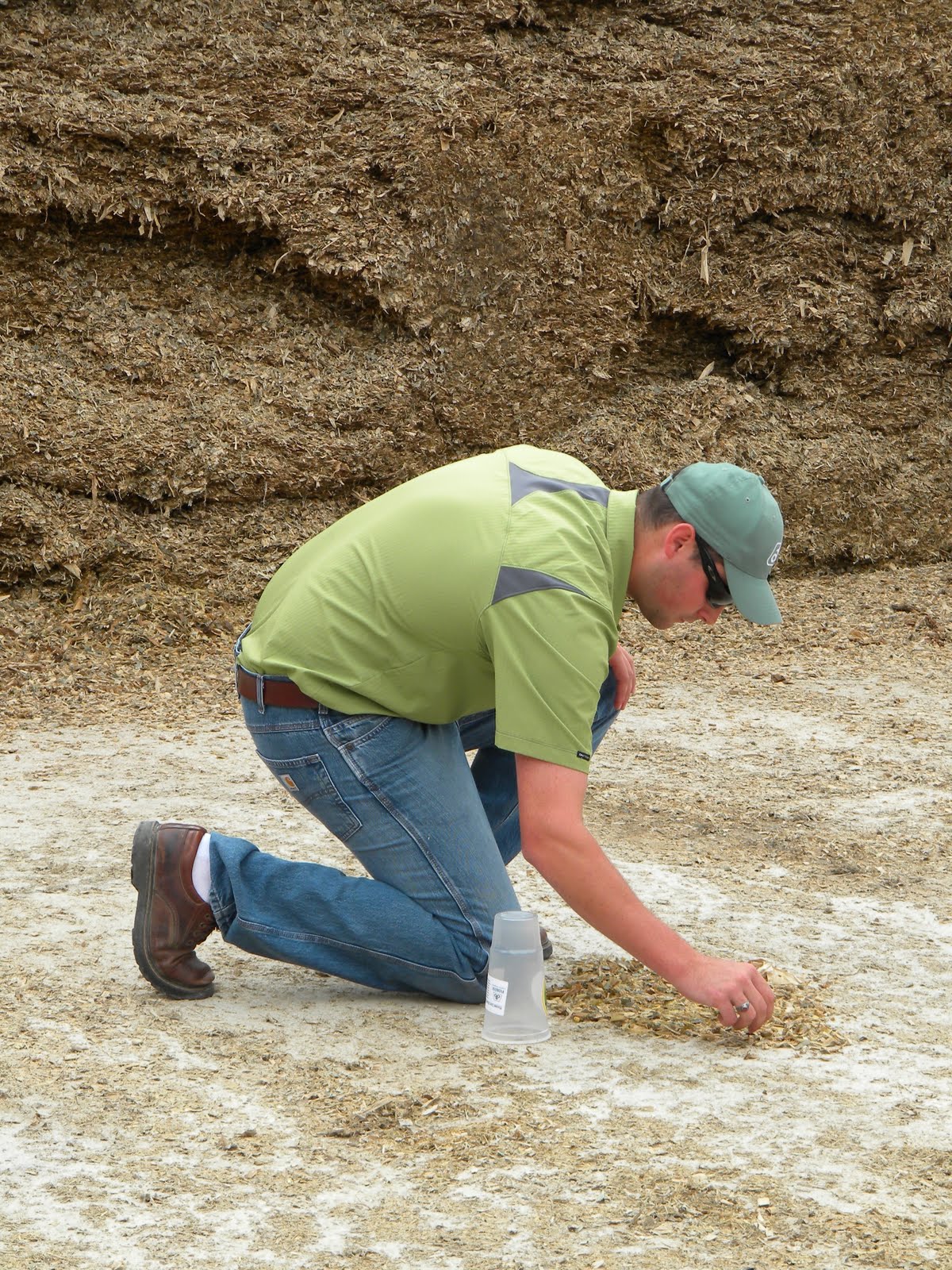 Better Crops by Barker: Corn Silage Time