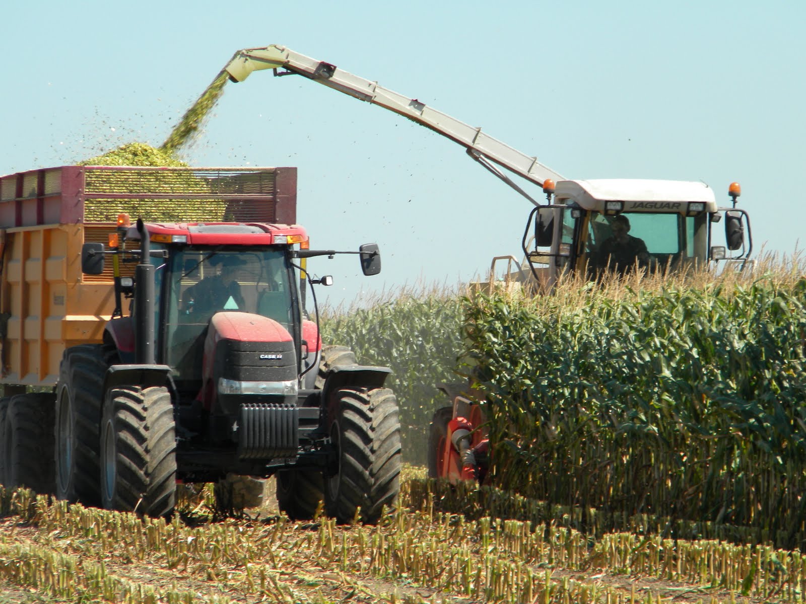 Better Crops by Barker: Right On Schedule