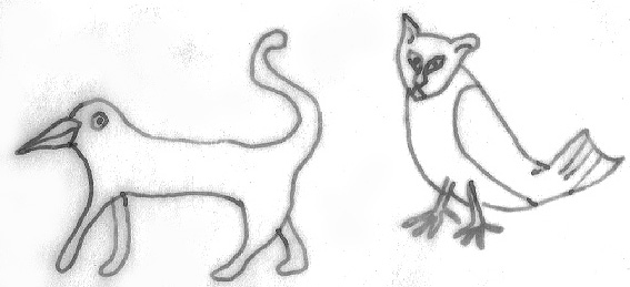 The Birdcat