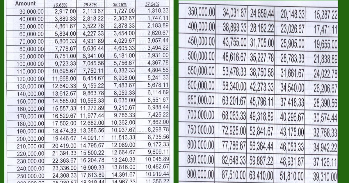 salary stretch: Amortization Table