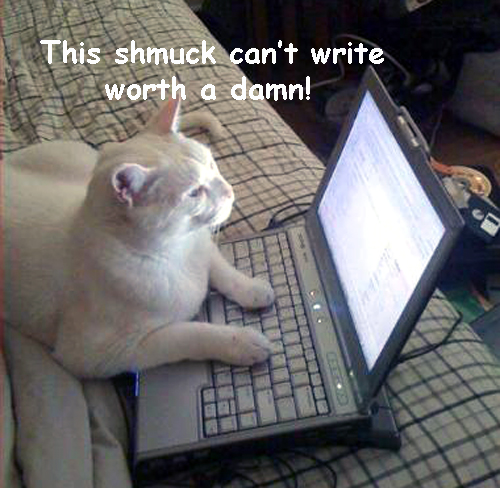 mere D. Cat: Funny Writing Cats
