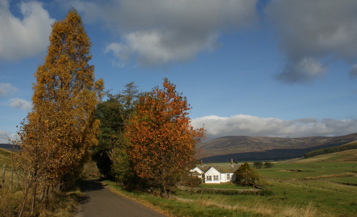 [October+16th+Photograph+Rural+Scotland+03.jpg]