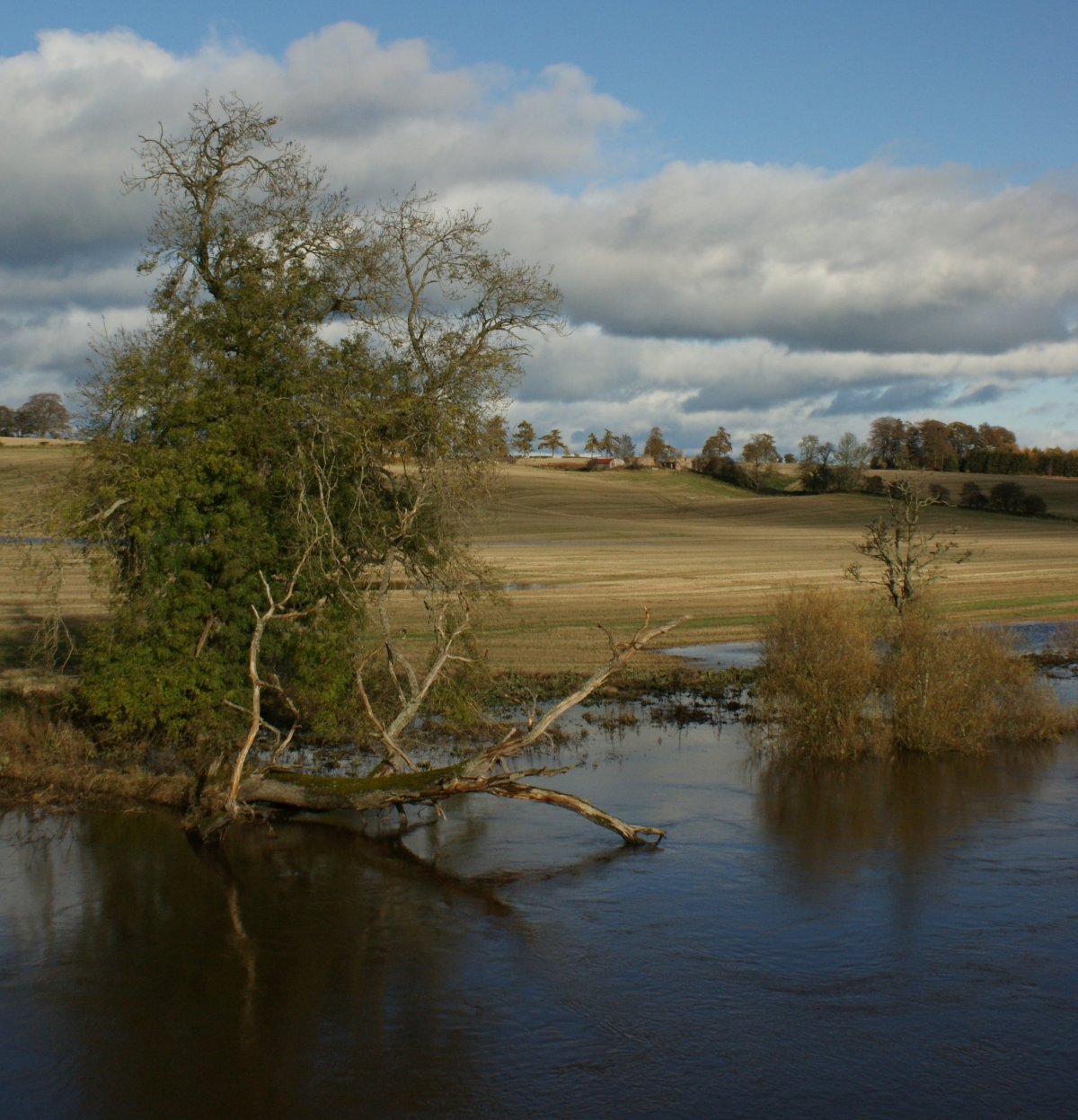 [November+2nd+Photograph+Flooded+Trees+Scotland.jpg]