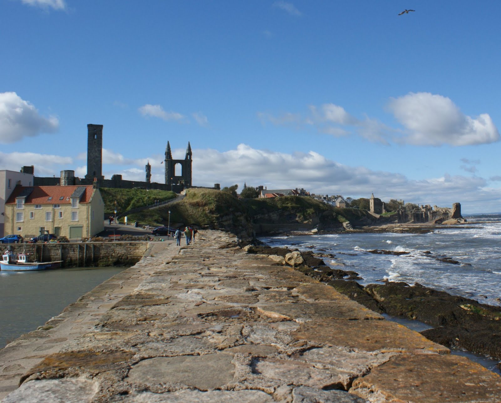 Tour Scotland Tour Scotland Photograph Long Pier St Andrews Fife