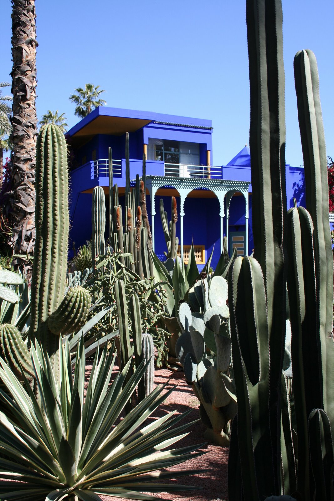 [IMG_3825MAJORELLE1.jpg]