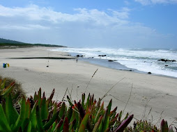 Playa de afife