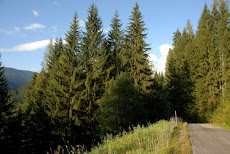 Austria, Eben im Pongau.