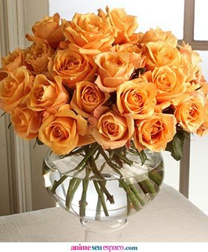 [orange_roses.jpg]