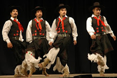 Ganadores del Festival Nacional del Malambo 2007(EL POTRO BALLET) cuarteto mayor