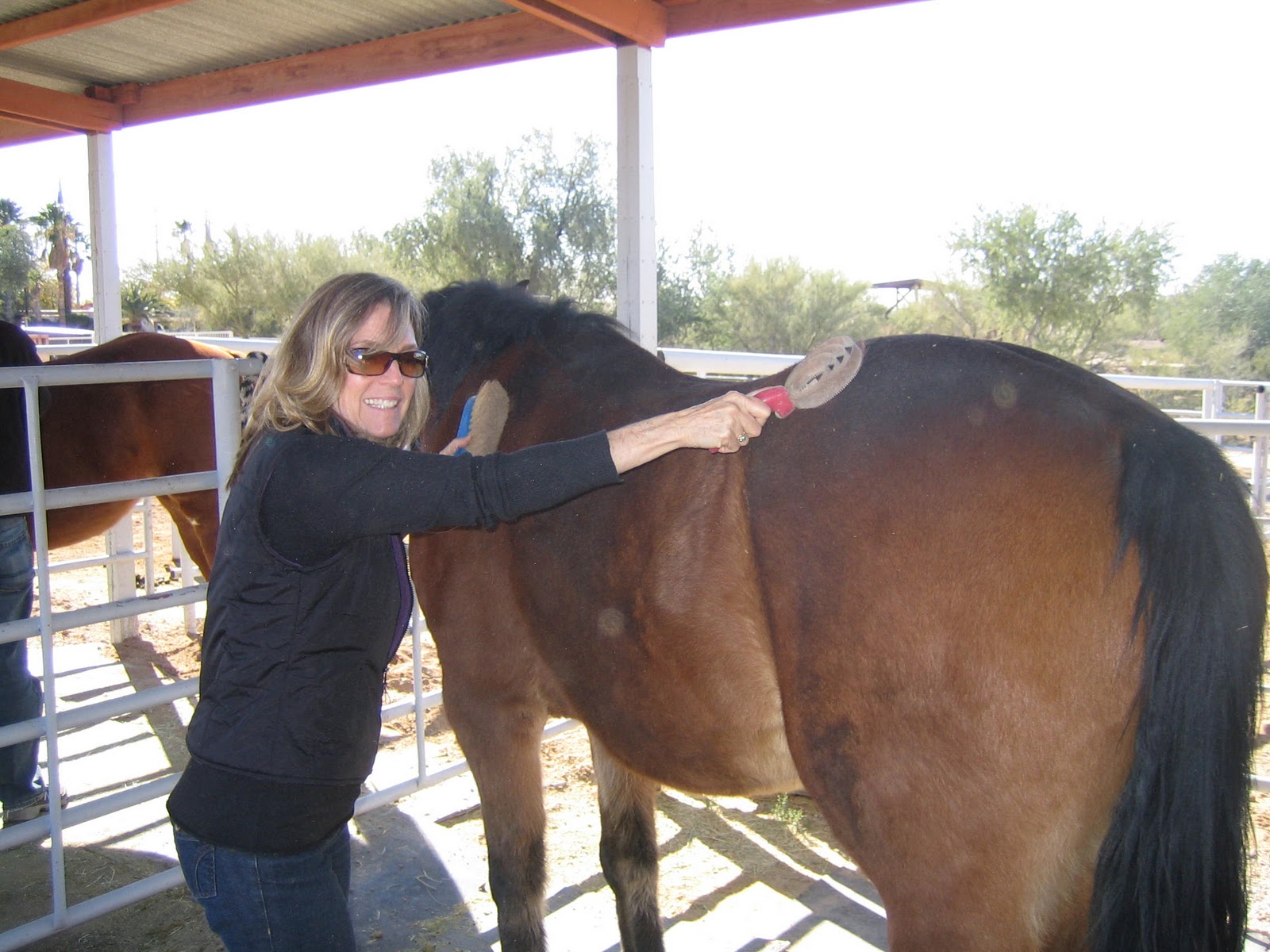 [Christmas in New Mexico 060.jpg]