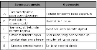 Perbedaan Spermatogenesis Dan Oogenesis Dalam Bentuk Tabel Berbagi Bentuk Penting