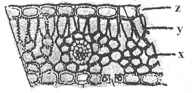 BIOLOGI GONZAGA: ANALISA / PREDIKSI SKL 05 JARINGAN