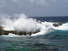 Rough Side of Bonaire (Windward)