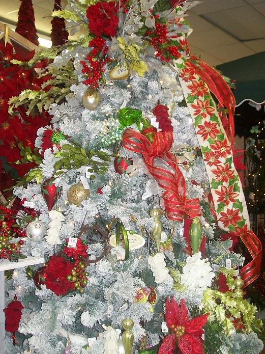[white+tree.jpg]