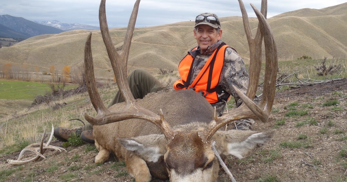 Montana Outfitter Journal Ratteling and Calling Mule Deer