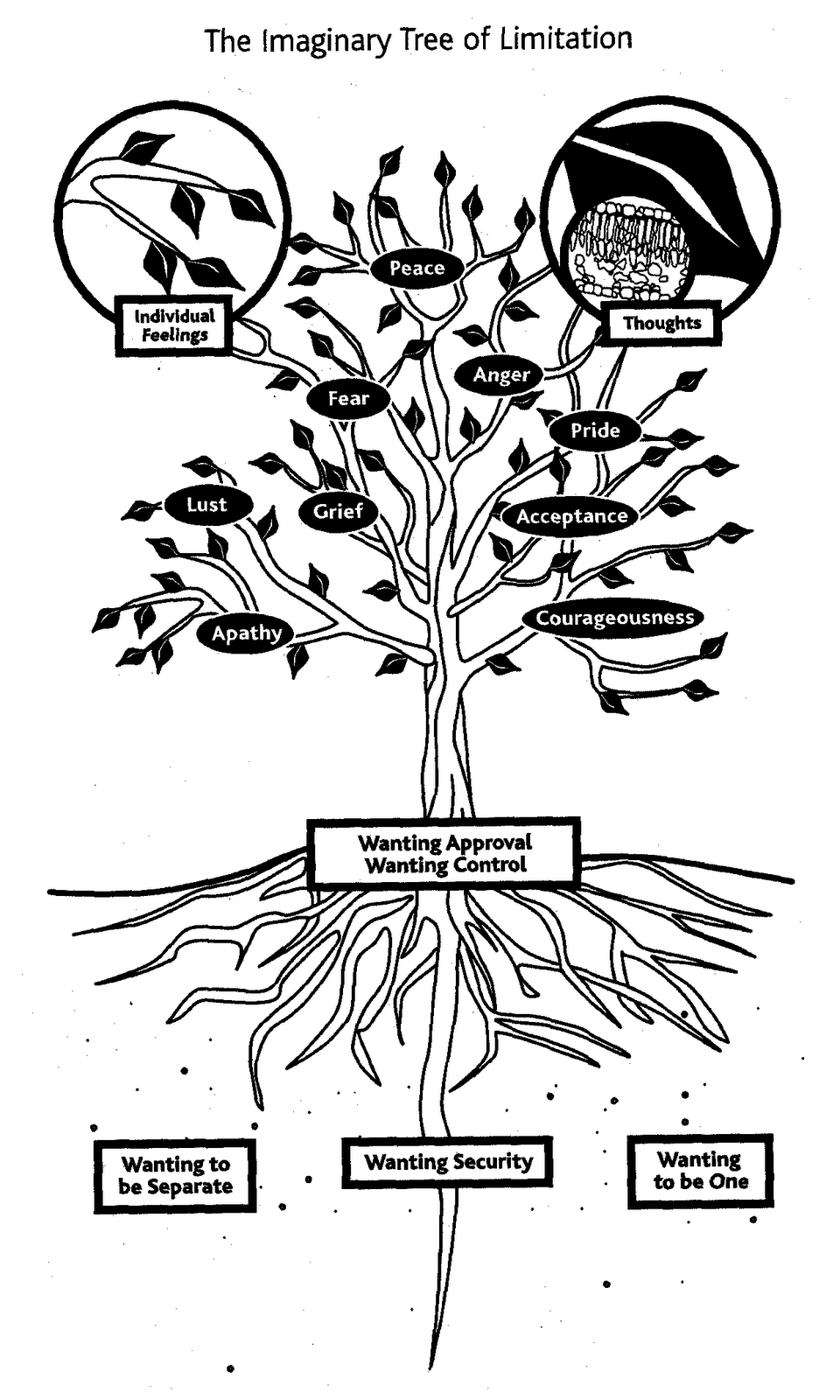 [LimitationTree.png]