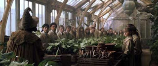Professor Sprout at Hogwarts Greenhouse