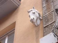 el caballo de la calle buenos aires