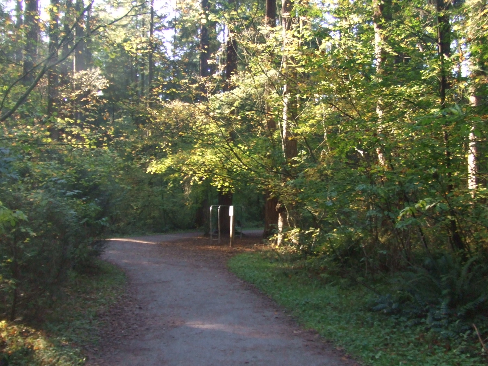 NICOLE IN VANCOUVER Central Park...