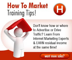 Need Traffic? Want More Sales?