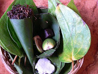 Makan Sirih  Pinang  Budaya di Kalimantan Mandau Talawang