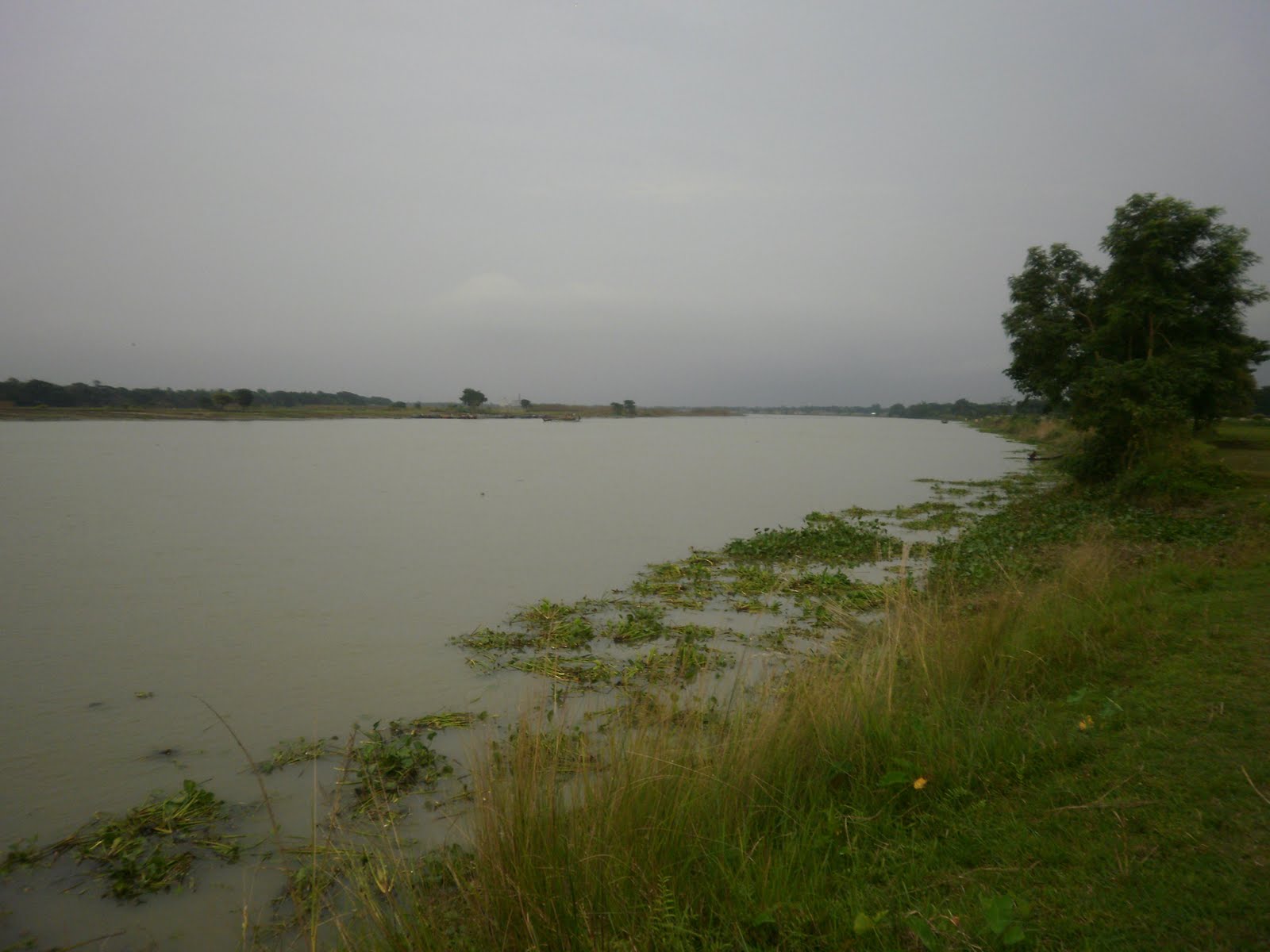 Bangladesh's Pictures An Evening with Shitalakshya