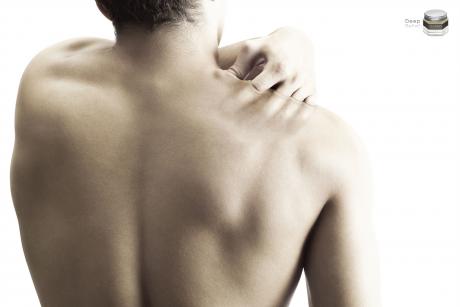 [harnnBack.preview.jpg]