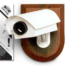 [Current+Issue_1219602867312.jpeg]