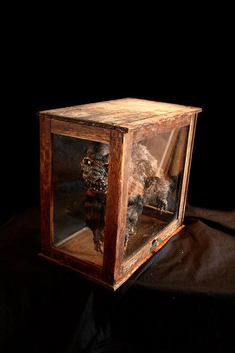 [3280562247_2063a796fa.jpg]