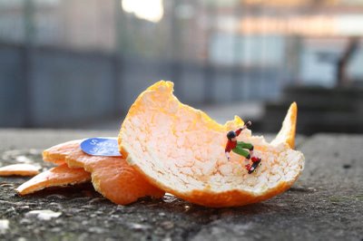 [orangepeel.jpg]