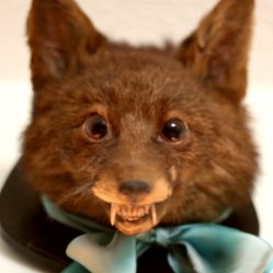 [thumbs_img_2765.jpg]