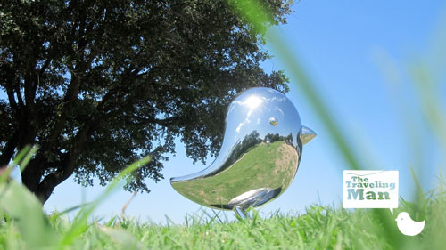 [TM_Bird_Pre_Installation.jpg]