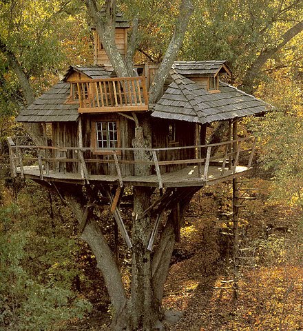 [treehouse.jpg]