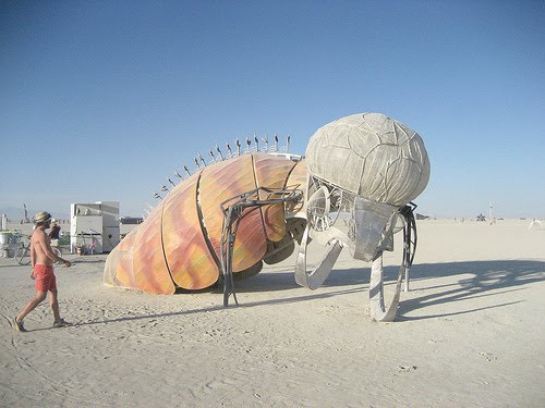 [500x_fishbug_01.jpg]