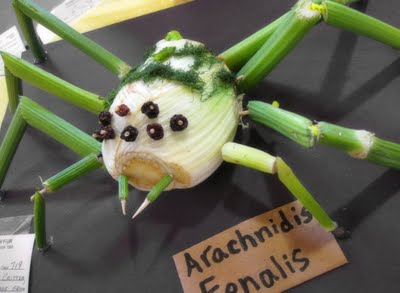 [onion_spider.jpg]