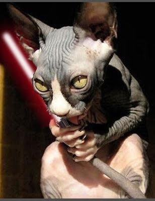 [sithcat.jpg]