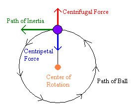 forces acting on a ball rotating in circle centrifugal centripetal forces