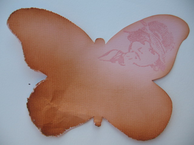 [projectbutterfly_1.jpg]