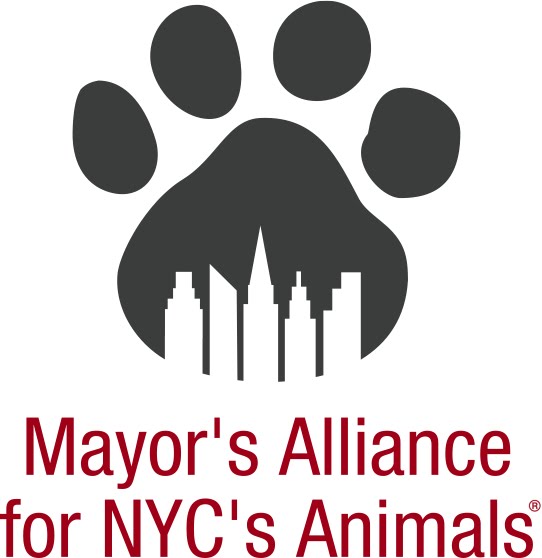 [Mayor's+Alliance+logo.jpg]
