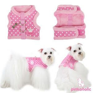 Flickr: Dog Clothes Patterns - Welcome to Flickr - Photo Sharing