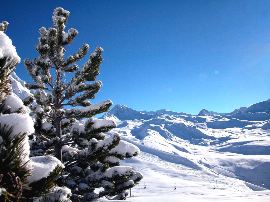 k@rl@: Neve