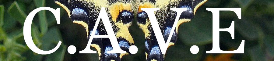 CAVE