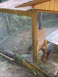 chicken coop done run guillotine door chickens opened closed outside found way