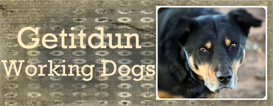 Getitdun Working Dogs